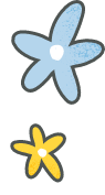 blue and yellow flower illustration